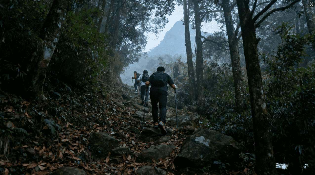 奇游加速器如何实现科学上网的详细攻略